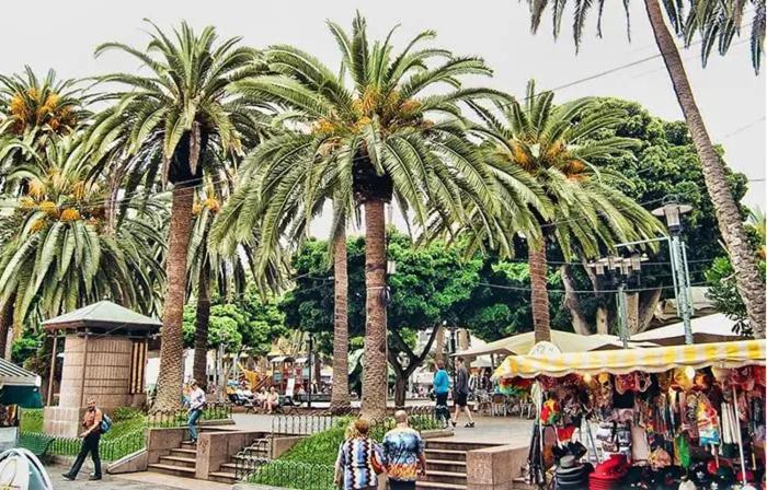 Vulcano Paradise Πουέρτο Ντε Λα Κρουζ Εξωτερικό φωτογραφία